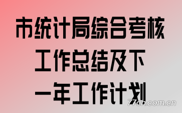 市统计局综合考核工作总结及下一年工作计划