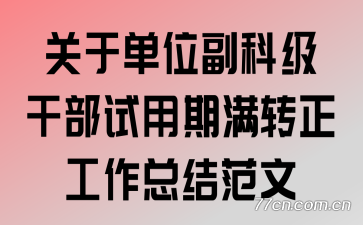 关于单位副科级干部试用期满转正工作总结范文