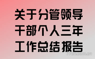 关于分管领导干部个人三年工作总结报告