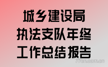 ���罨���ִ��֧�����չ����ܽᱨ��