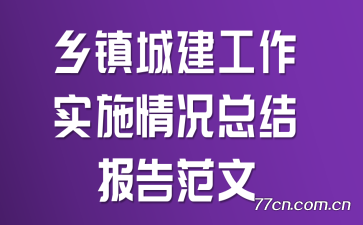 ǽʵʩܽᱨ淶