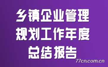 ������ҵ�����滮��������ܽᱨ��