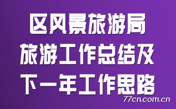 区风景旅游局旅游工作总结及下一年工作思路