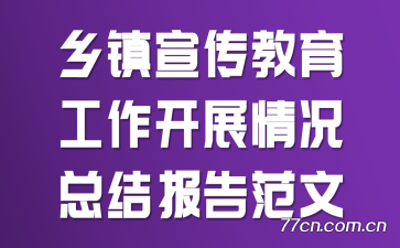 ������������������չ����ܽᱨ�淶��