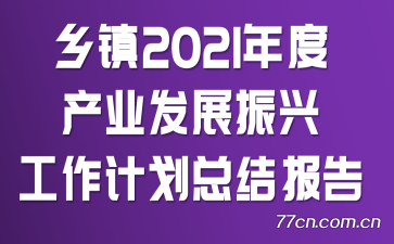 2021Ȳҵչ˹ƻܽᱨ